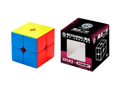ShengShou MoSheng 2x2